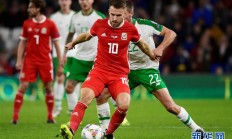 九游娱乐官方-关于爱尔兰队在国际赛中取得令人瞩目的表现，夺得冠军的信息