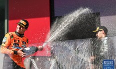 九游娱乐入口-关于迈凯伦横扫梅赛德斯，诺里斯高光表现的信息