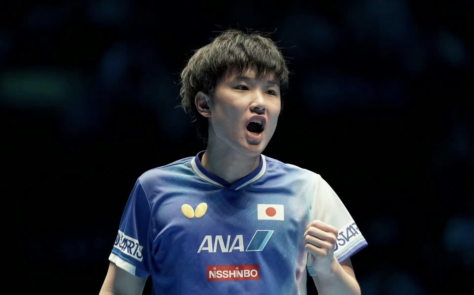 关于法国乒乓球队逆转比利时乒乓球队,张本智和关键制胜的信息 关于法国乒乓球队逆转比利时乒乓球队,张本智和关键制胜的信息