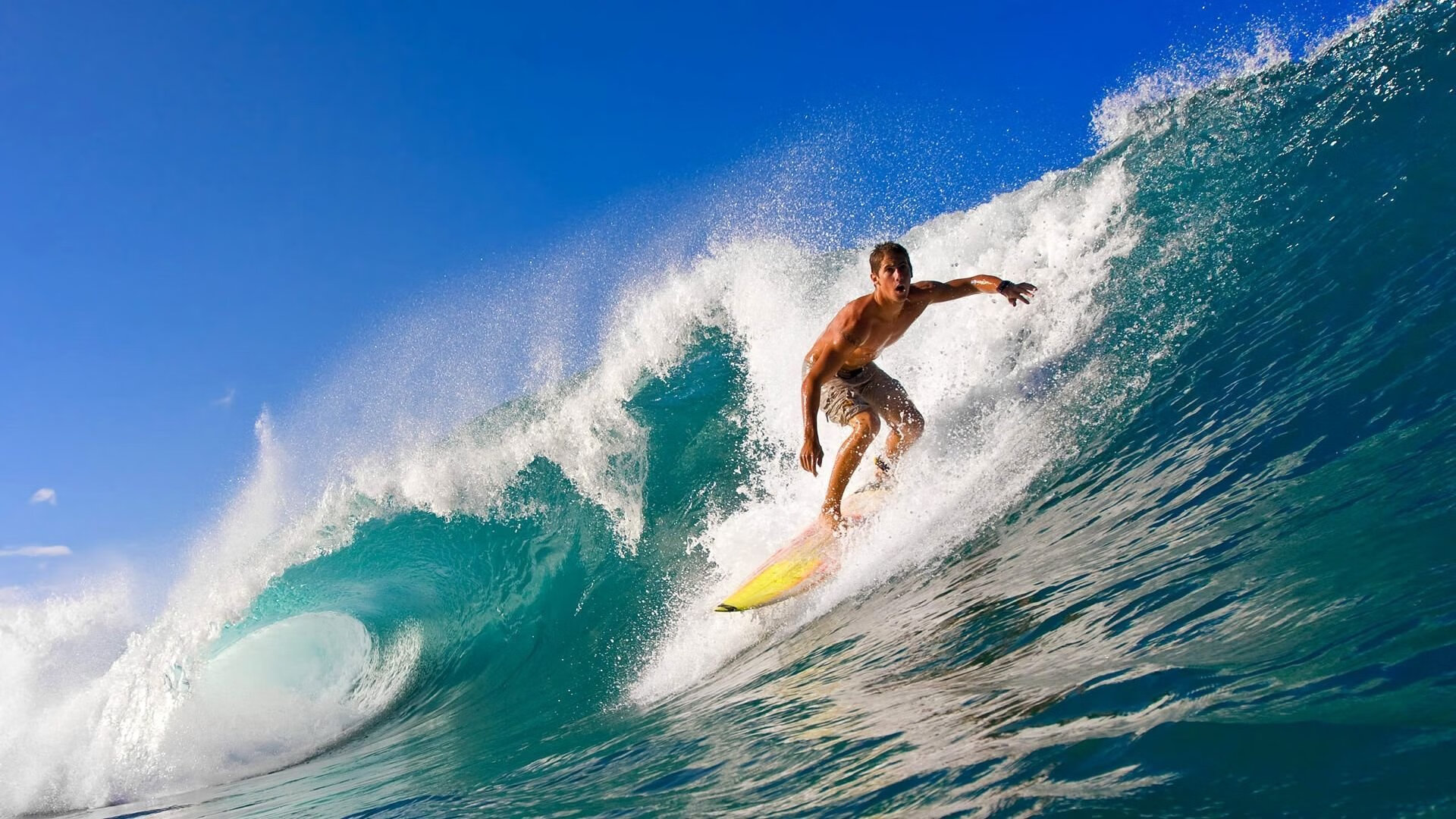双城记，浙江铁骑踏破京城，库里末节上演王者归来